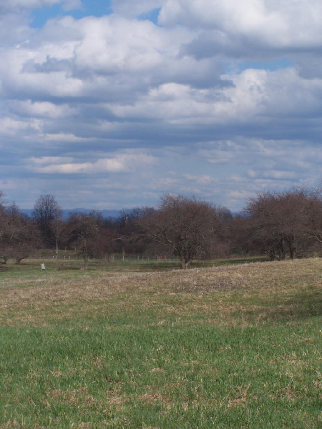 Photo: Former Orchard at Bennett Hill Farm