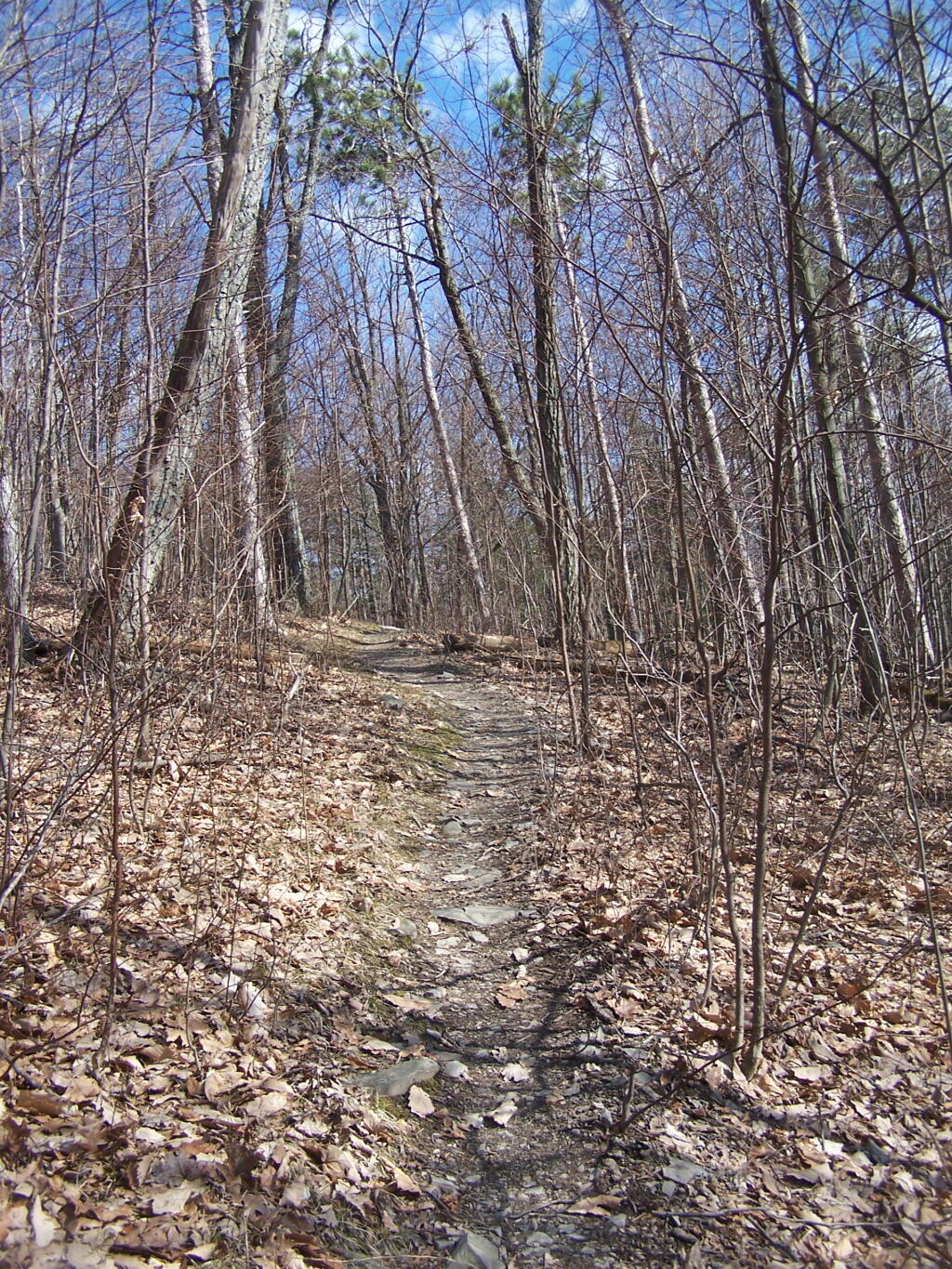Photo: Reaching Top of Hill