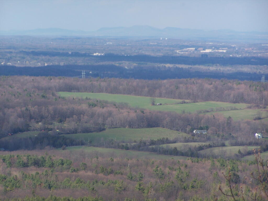 Photo: Greening Fields