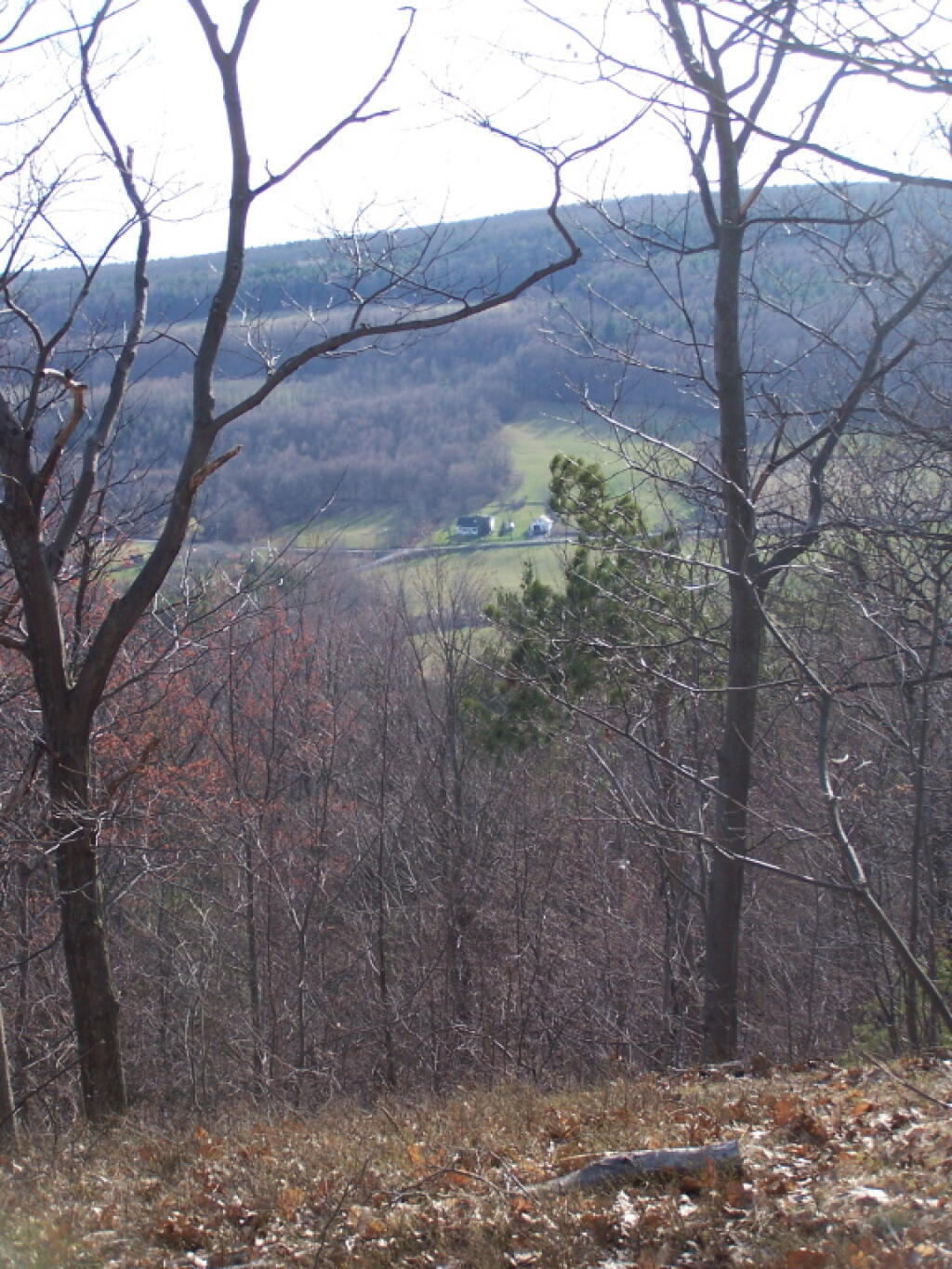 Photo: Looking Down Towards Clarksville South Road