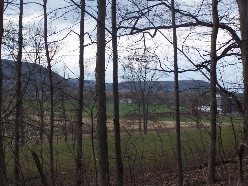 Photo: View Along the Trail