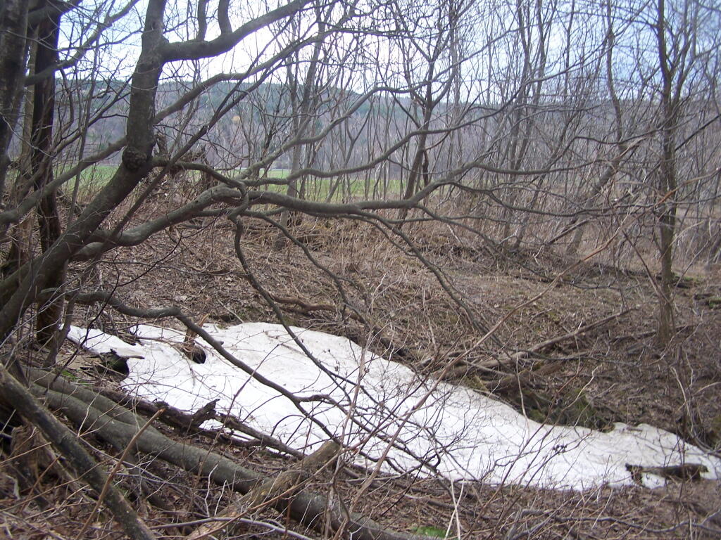 Photo: Little Bit of Snow Remains
