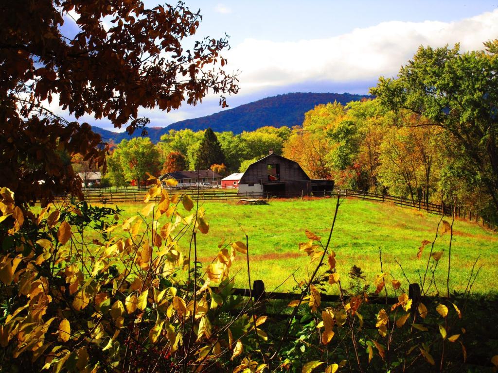 Photo: Horse Farm Along the C&O Trail