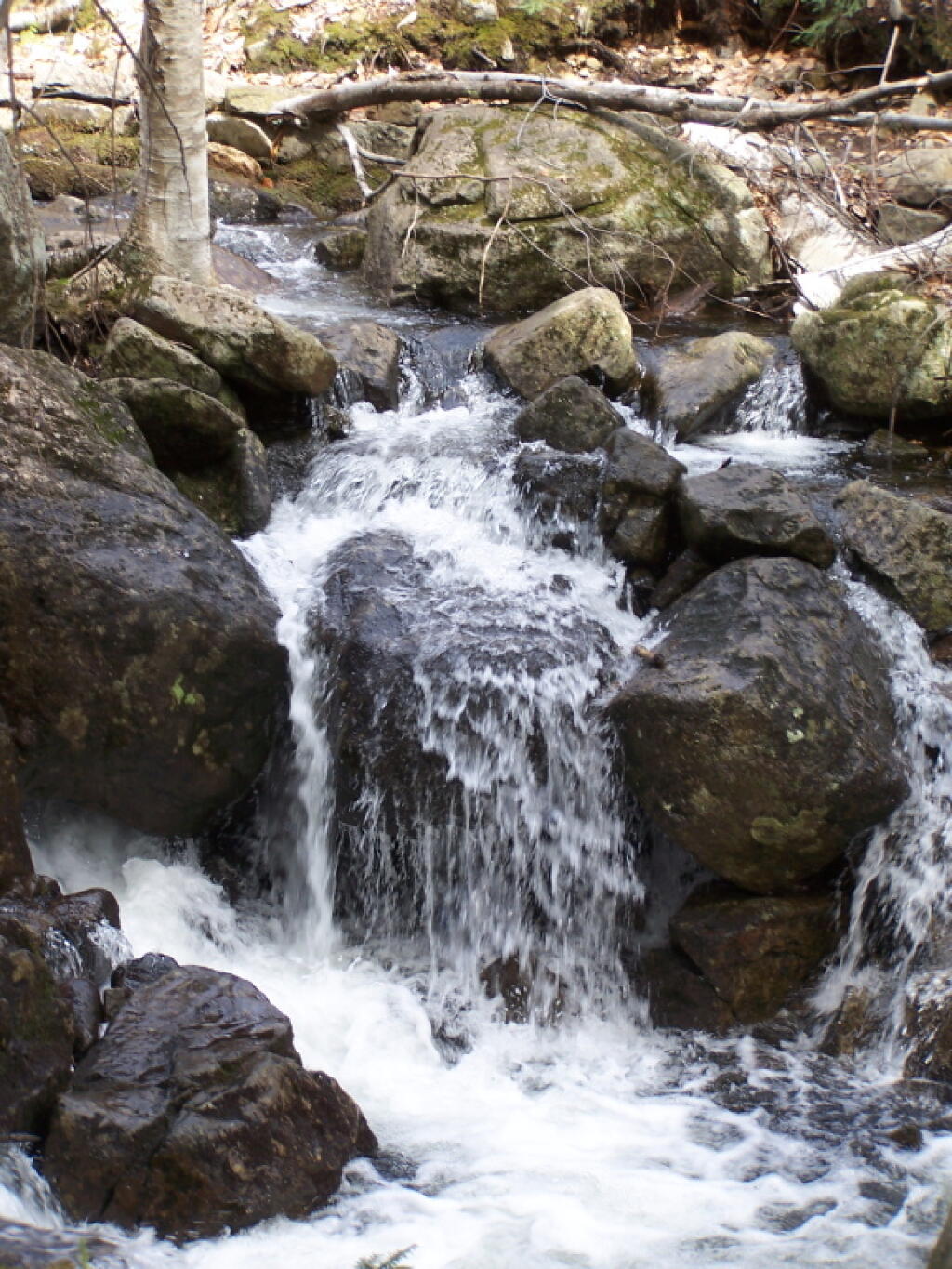 Photo: Rapidly Flowing Creek