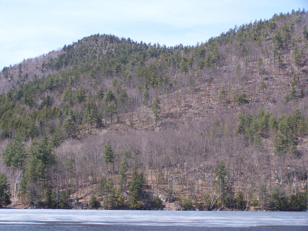 Photo: Ross Mountain