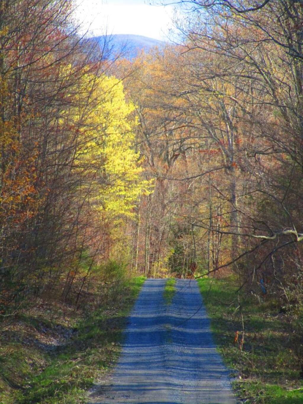 Photo: Old Cementary Road