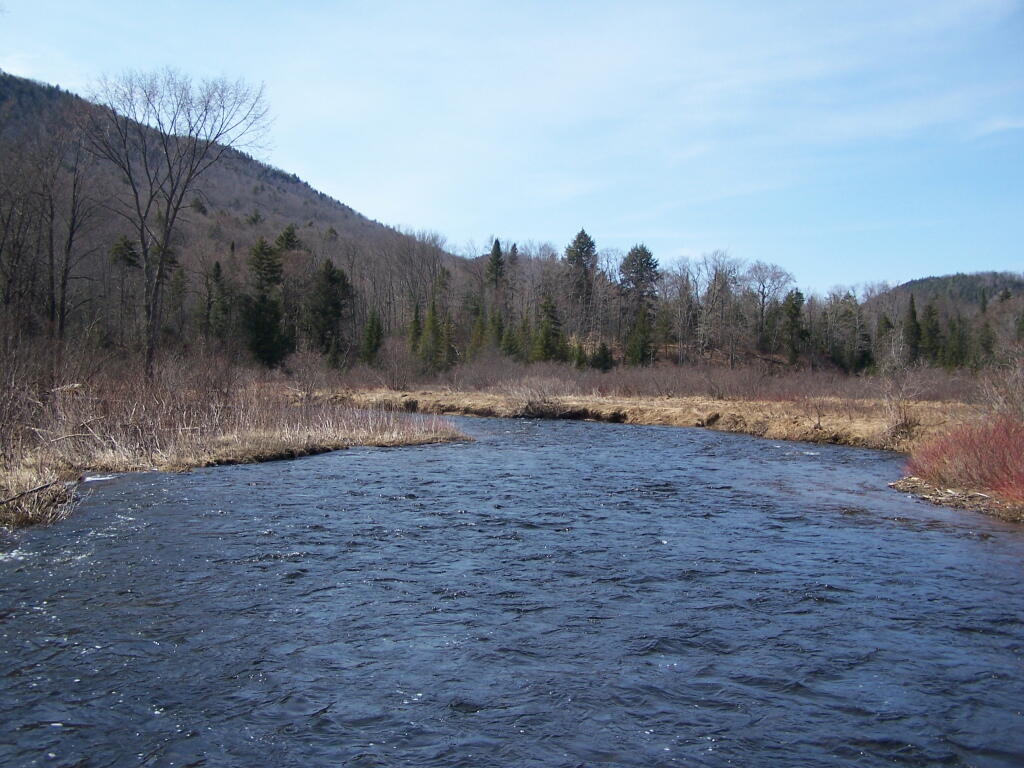 Photo: Looking North Into Siamese Pond Wilderness