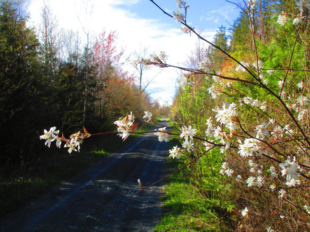 Photo: Spring