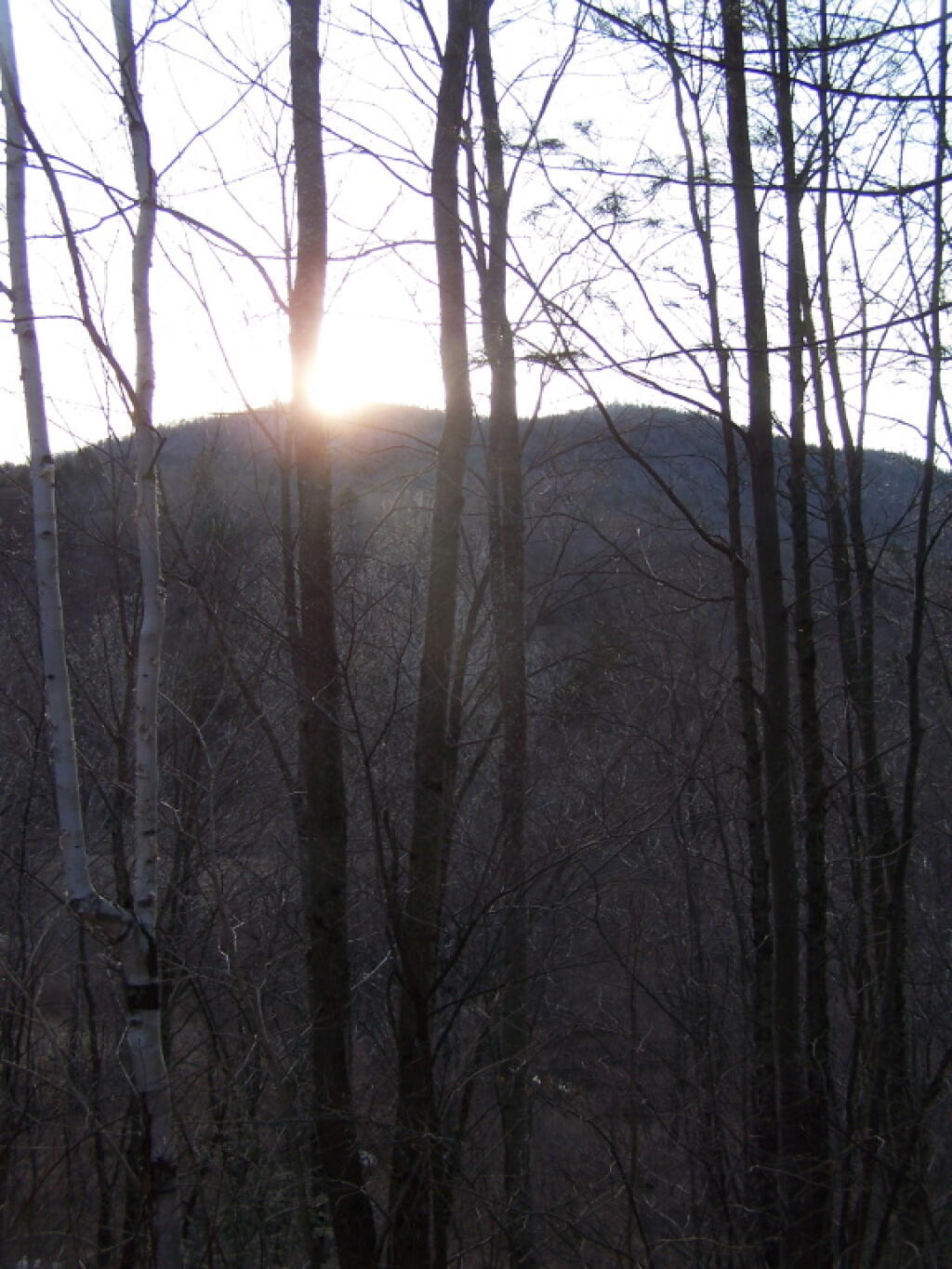 Photo: Setting Sun