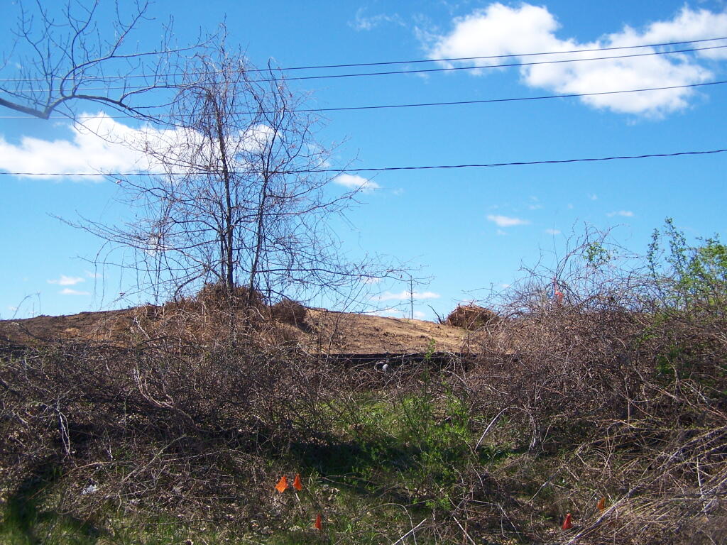 Photo: Remains Of Sand Dune