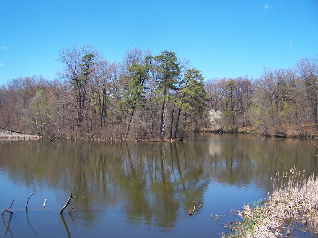 Photo: Forks in Rensselaer Lake