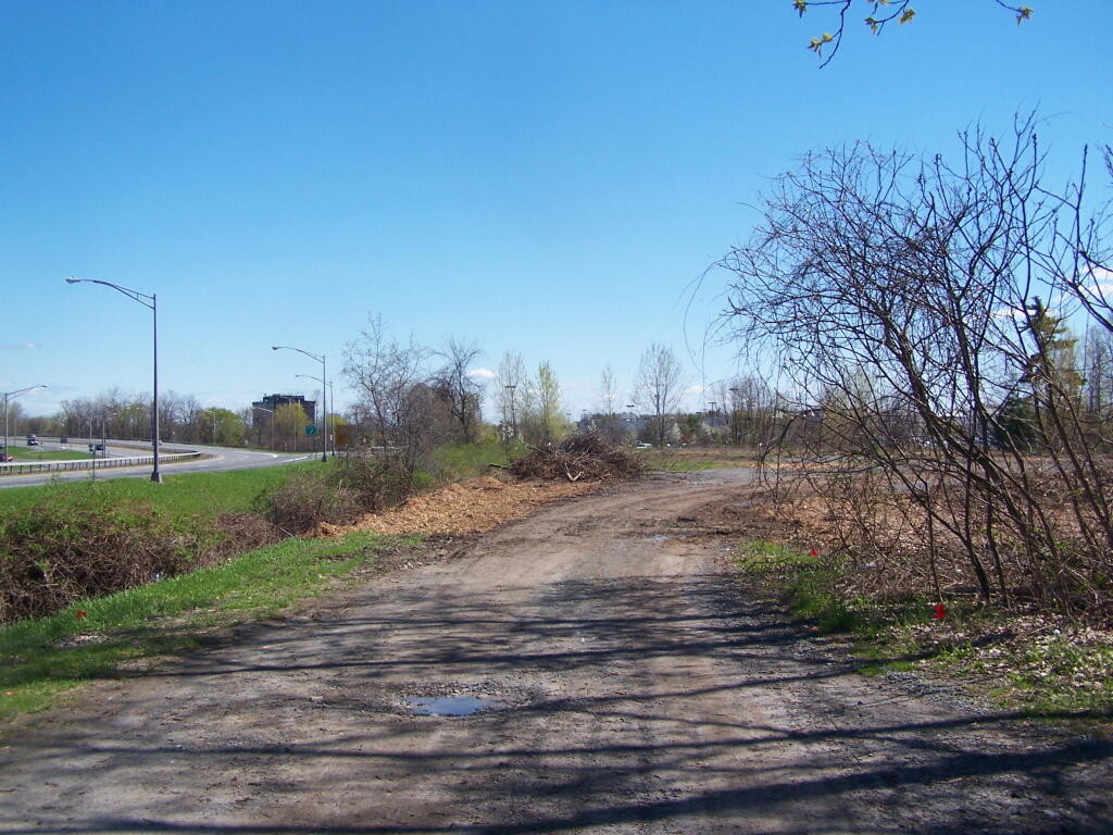 Photo: The Hotel Site