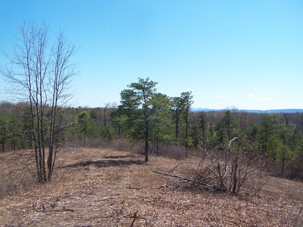 Photo: South-East from Overlook Dune