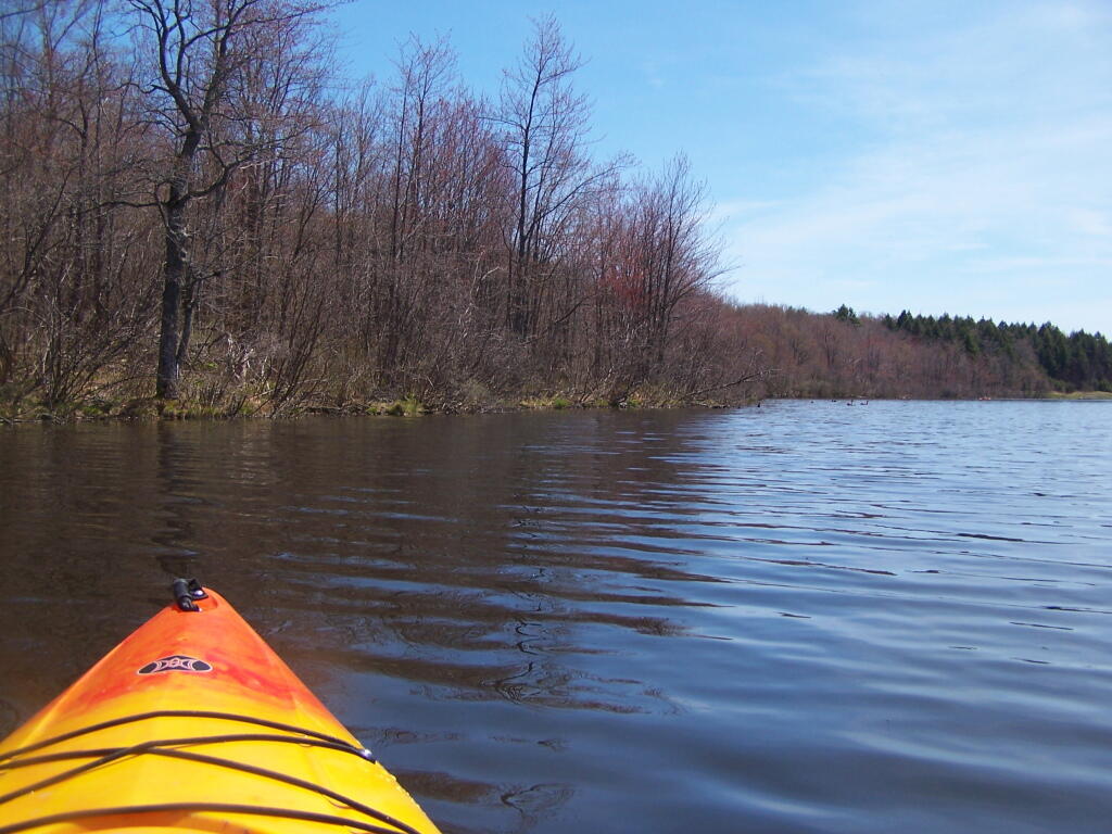 Photo: Edge of Lake