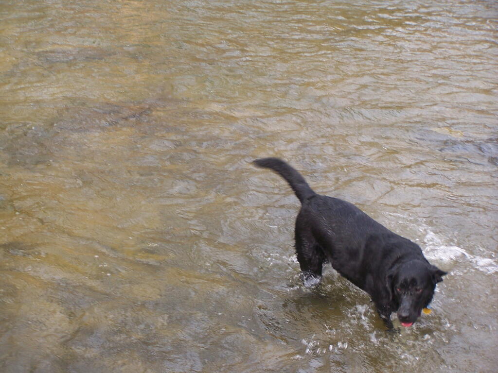 Photo: Going For a Swim