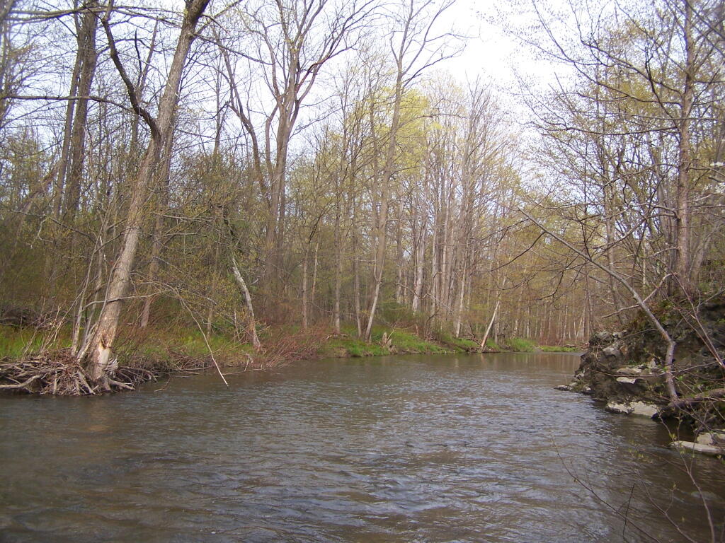 Photo: Creek is Fairly Full