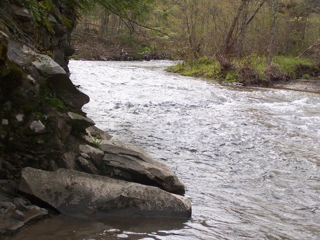Photo: Creek Channels Intermix