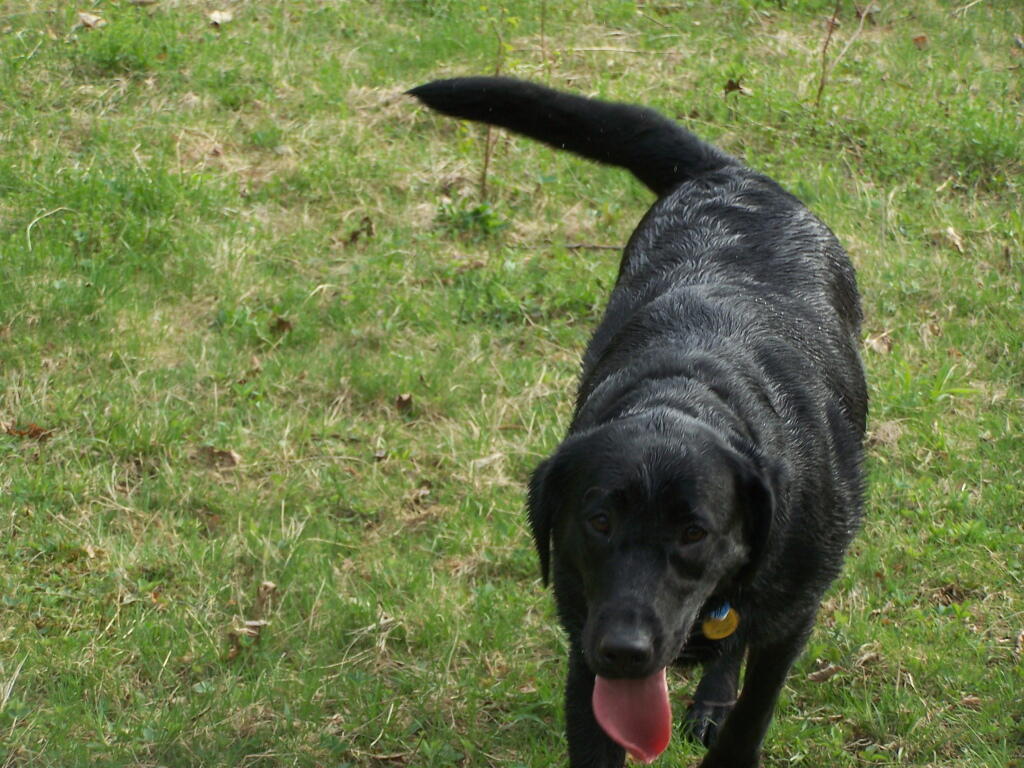 Photo: Already A Hot Dog!