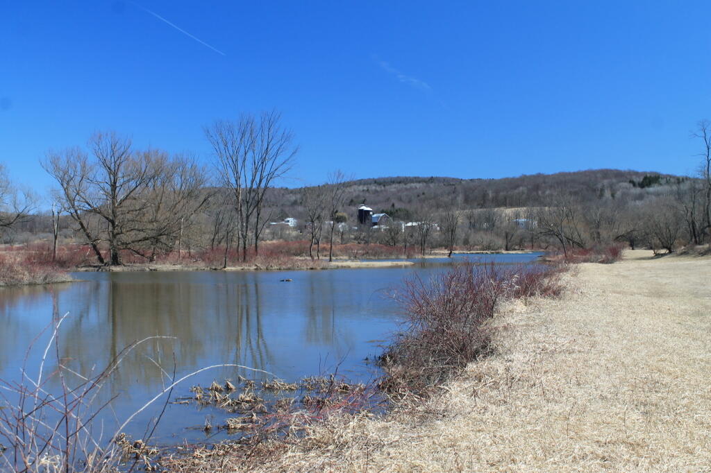 Photo: Banks of Ostelic