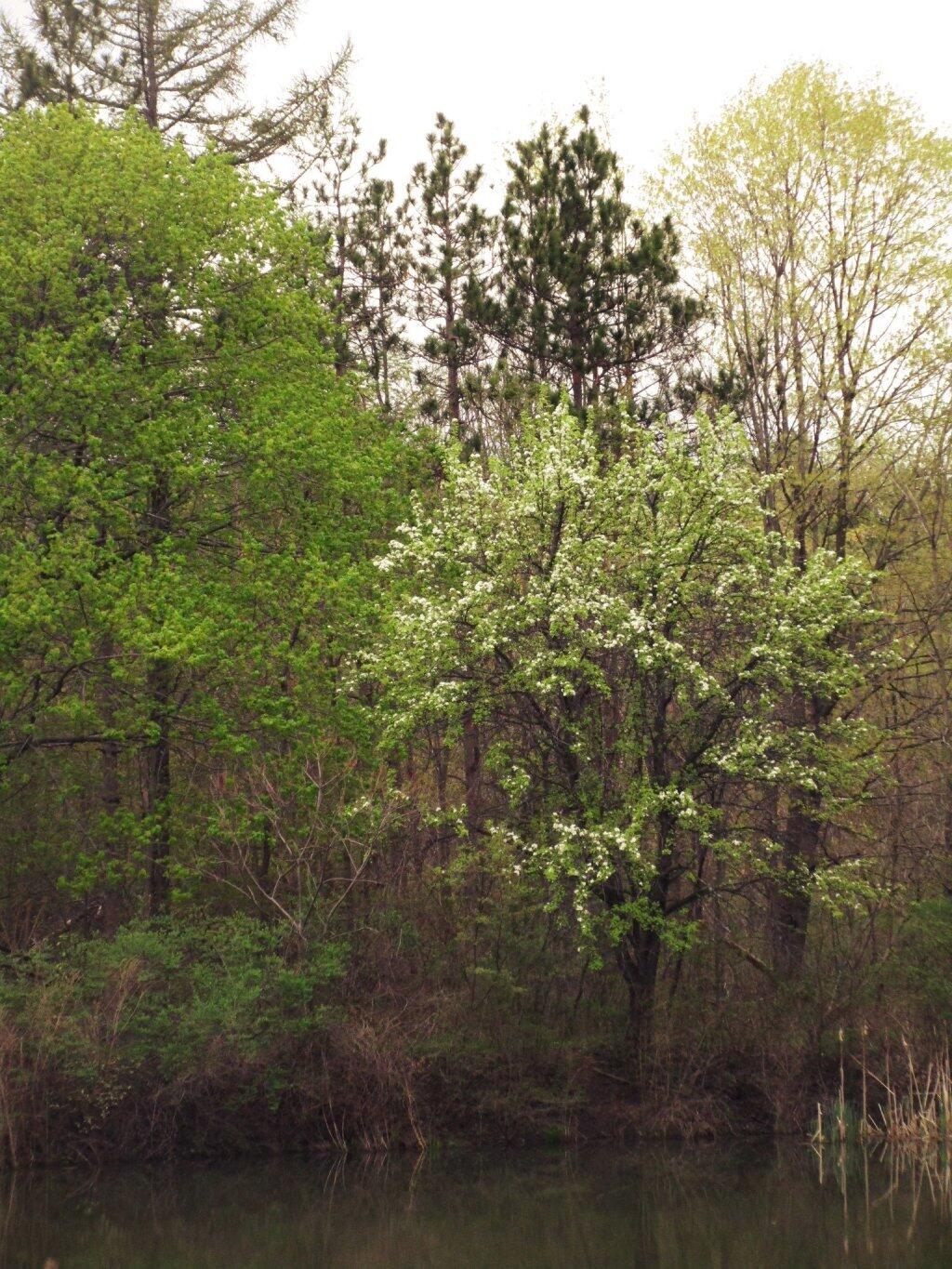 Photo: Spring