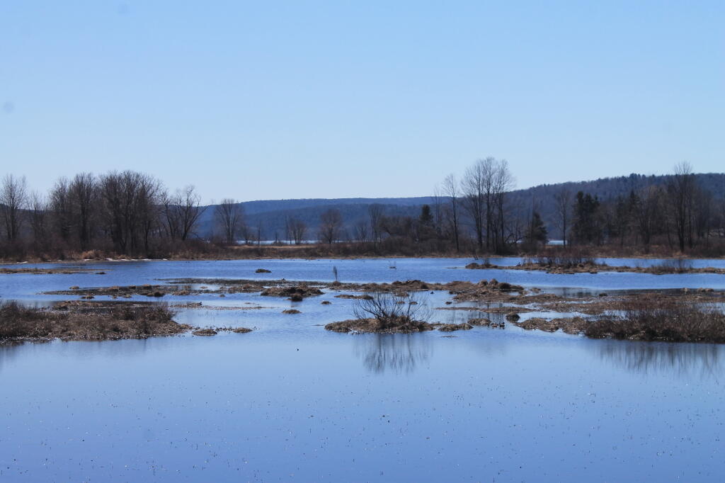 Photo: Flooded Lands