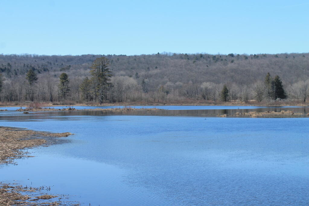 Photo: Whitney Point Reservior