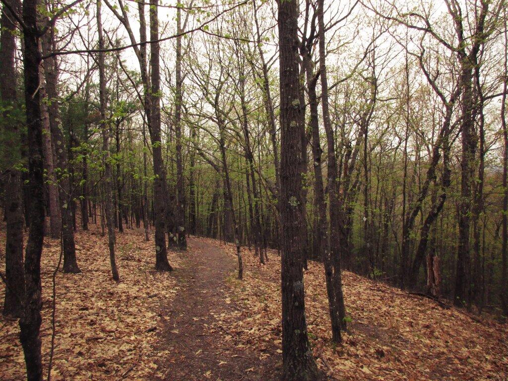 Photo: Trail