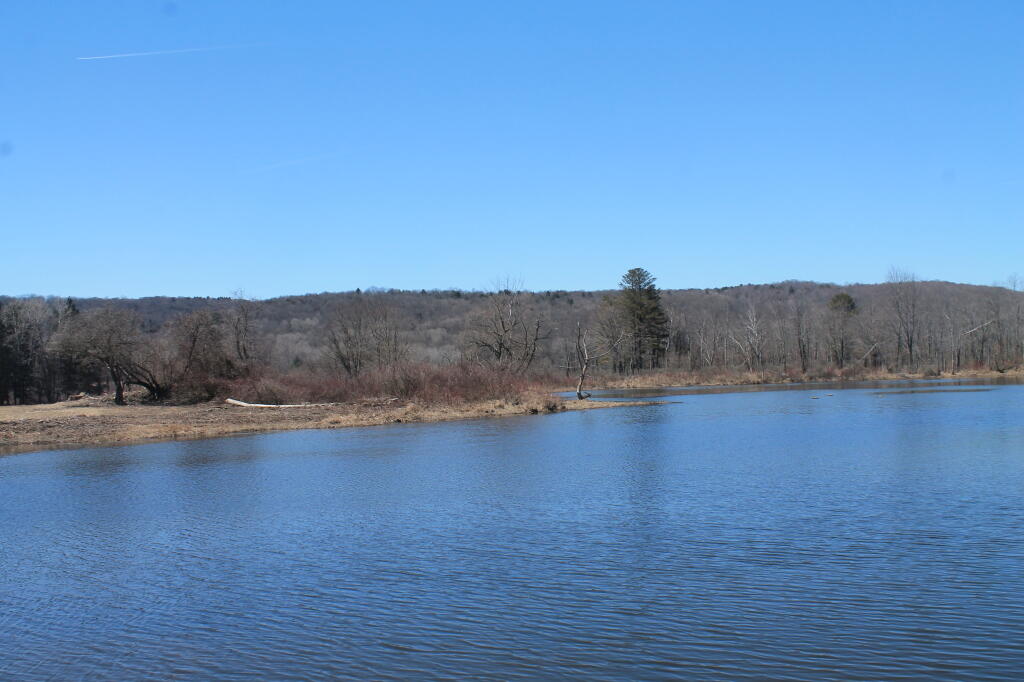 Photo: Sunny Afternoon at Whitney Point Reservior