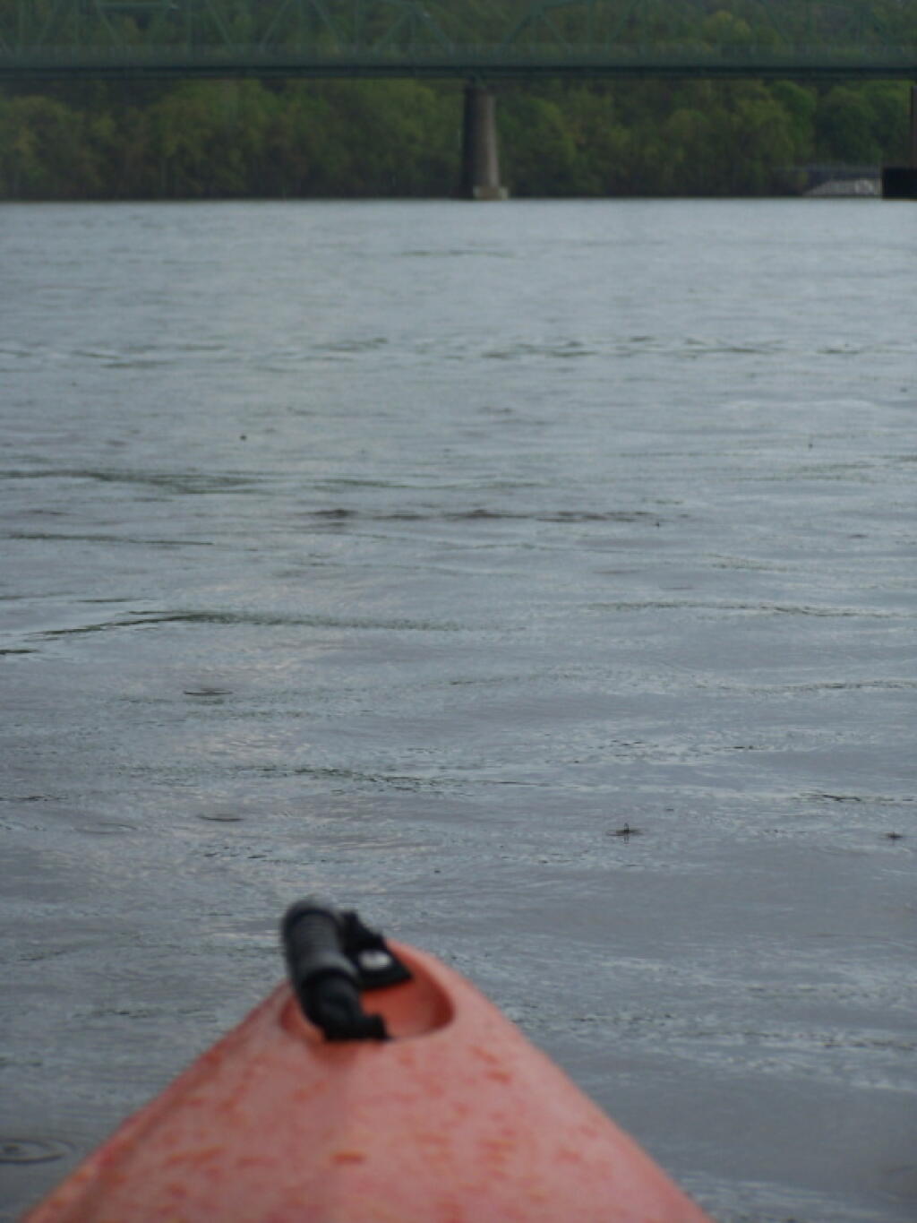 Photo: Rain Picks Up
