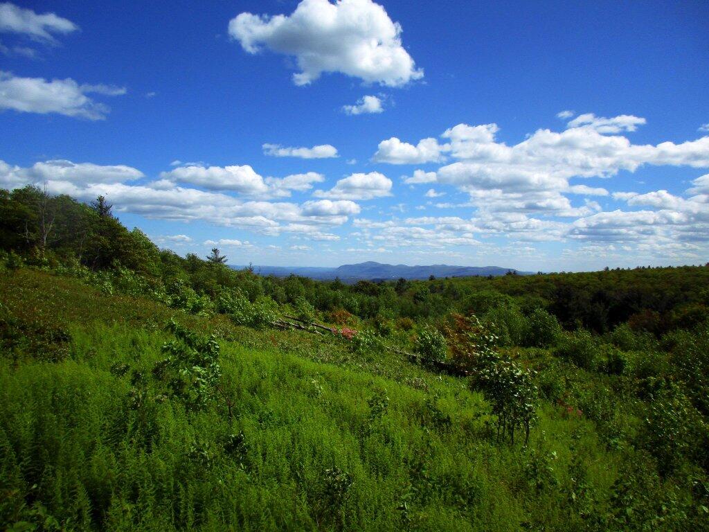 Photo: Alander Mountain From Harvey Mountain Blueberry Patch