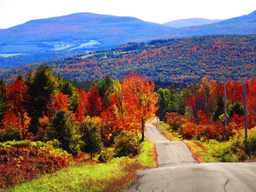 Photo: Cheese Hill Road