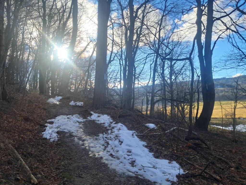 Photo: Lows sun