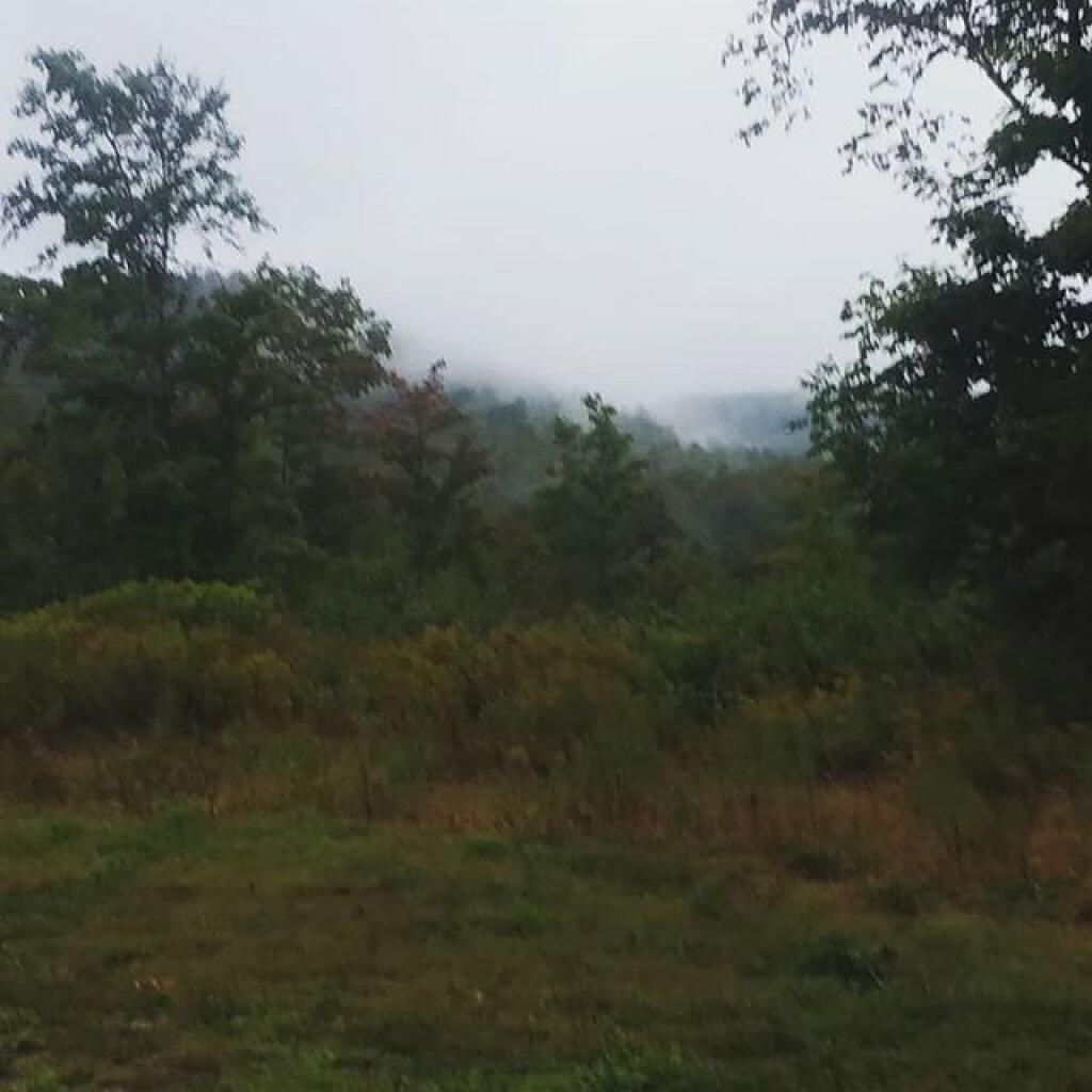 Photo: Rain has let up a bit