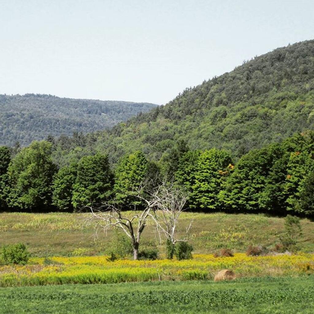 Photo: Reed Hill