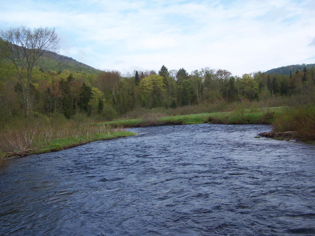 Photo: River Valley