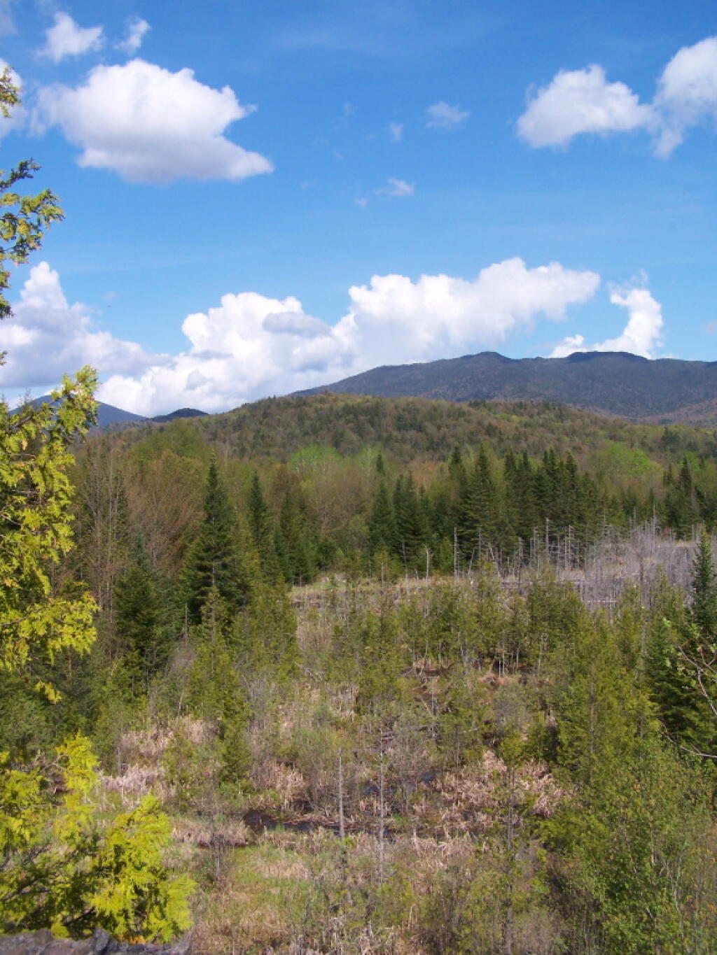 Photo: East Towards High Peaks