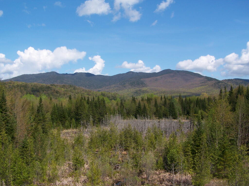 Photo: Wetlands and North River Mountains