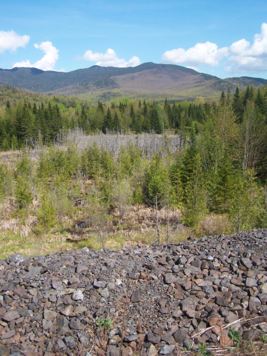 Photo: Tailings Pile Guardrail
