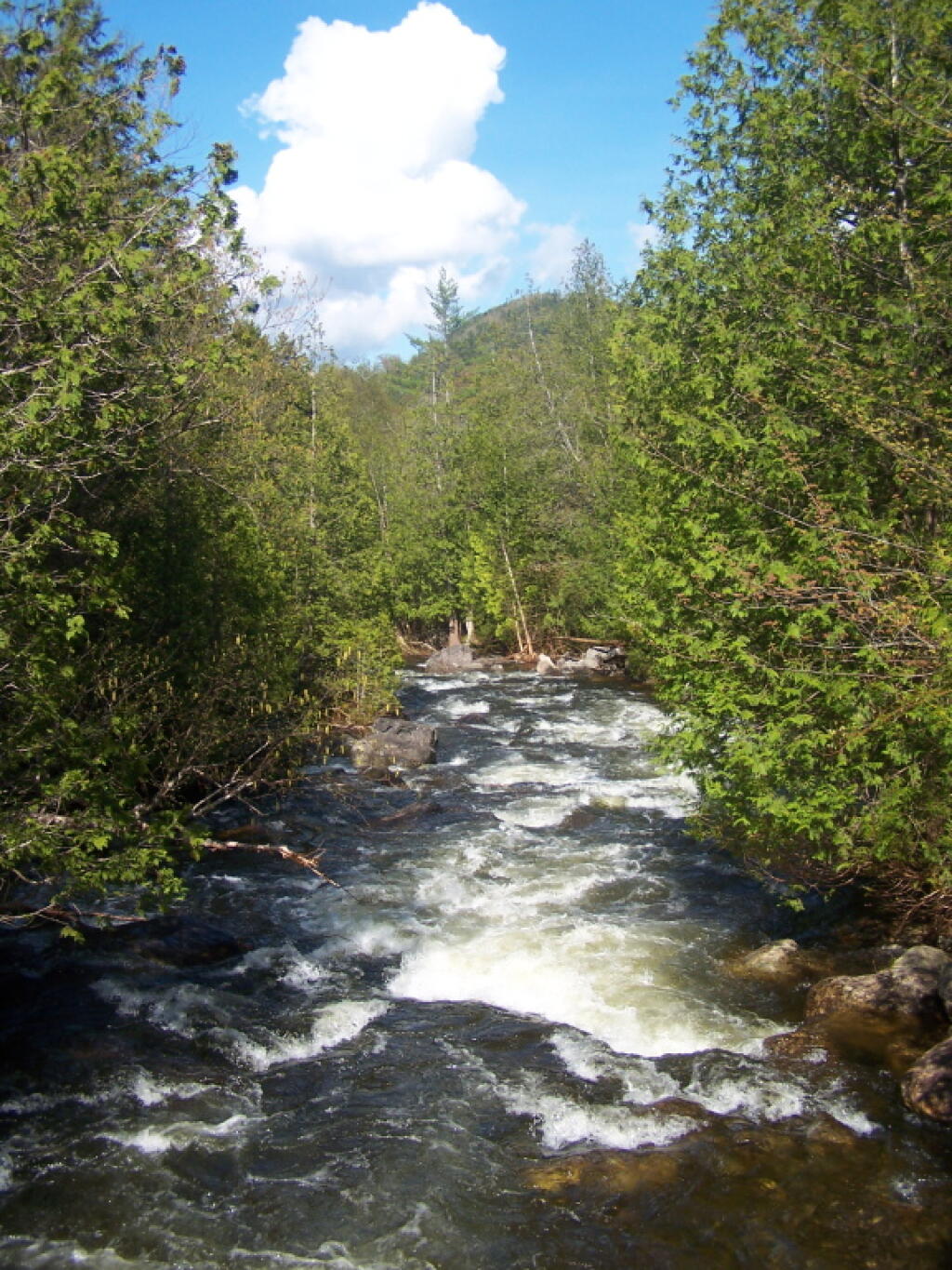 Photo: Hudson River Below Henderson Lake