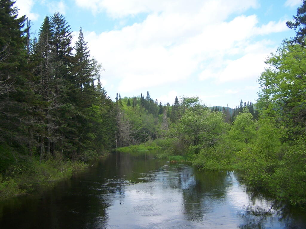 Photo: North from Powley Place Bridge