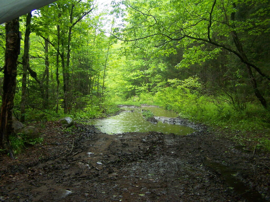 Photo: More Rain