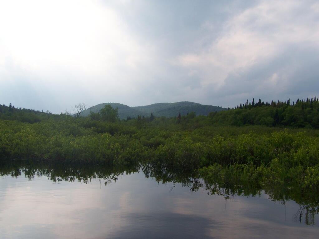 Photo: Big Alderbed Mountain