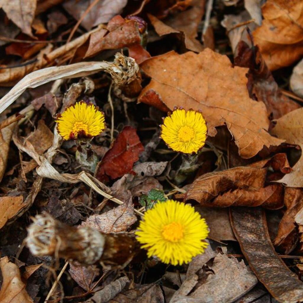 Photo: Spring?