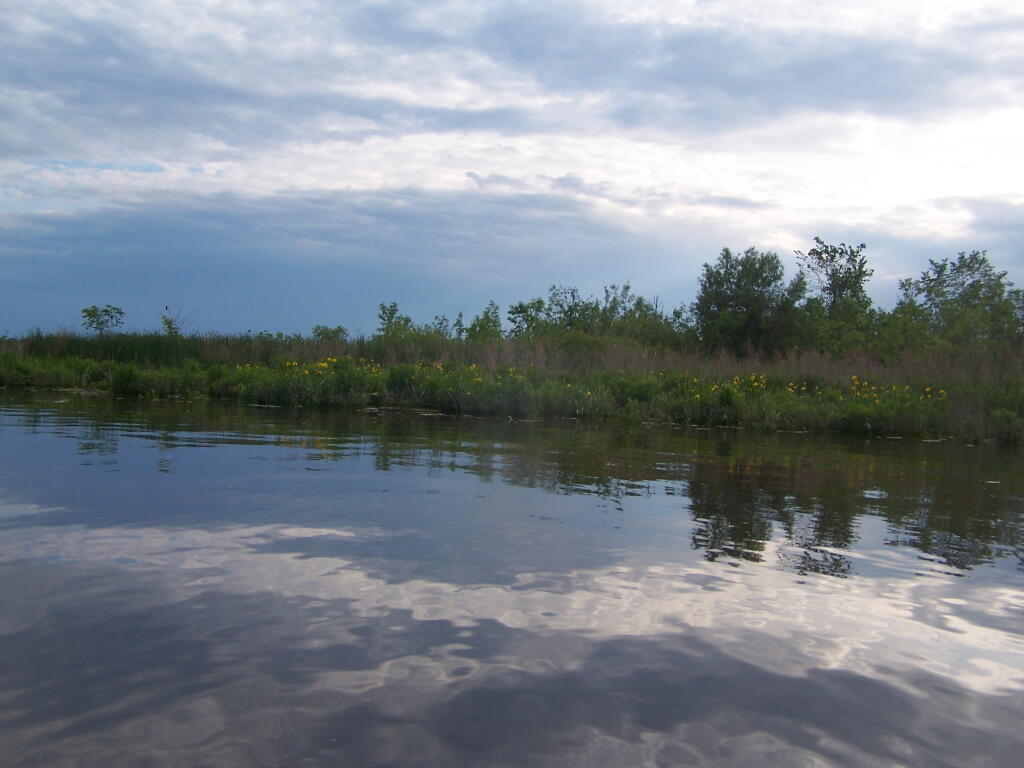 Photo: Marshy Tip of Middle Stockport Island