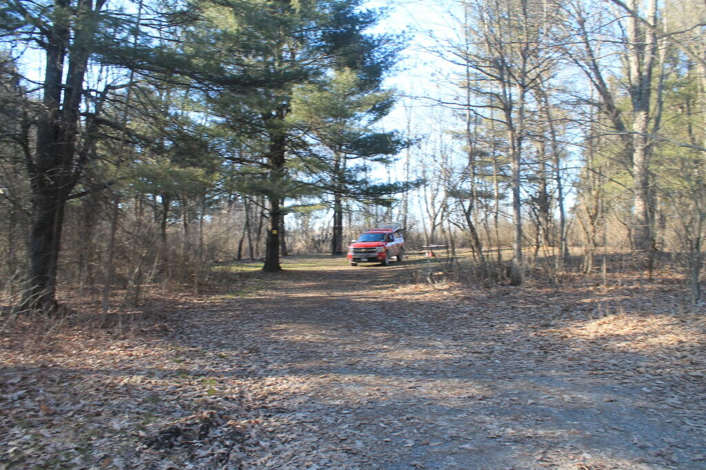 Photo: Campsite from the Truck Trail Down to Lake