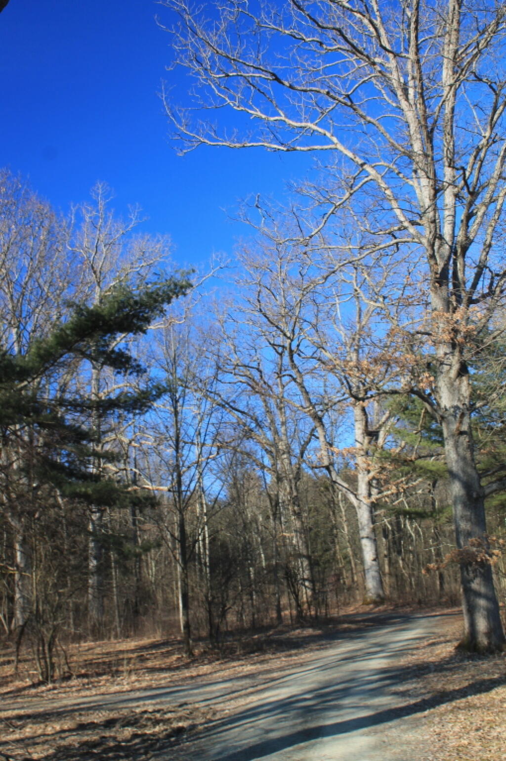 Photo: Truck Trail