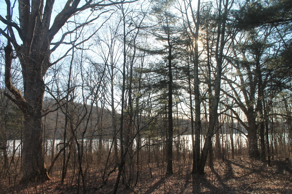 Photo: View of Pond from Camp