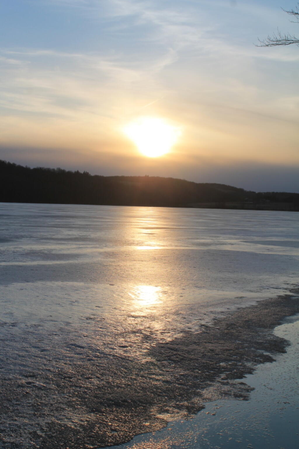 Photo: Lower