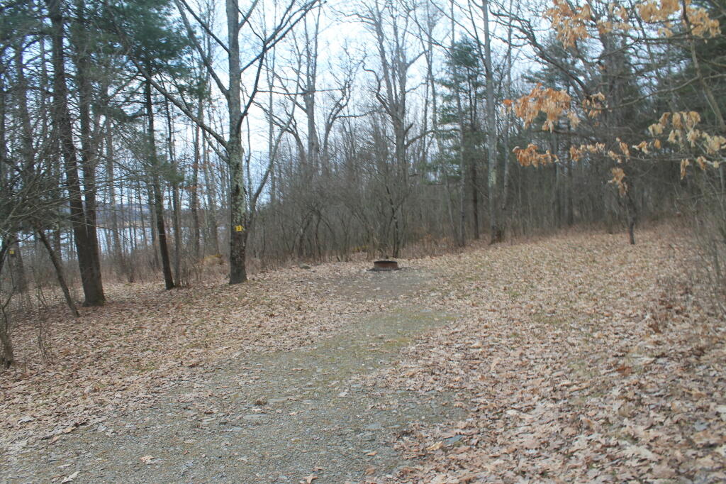Photo: Campsite 2