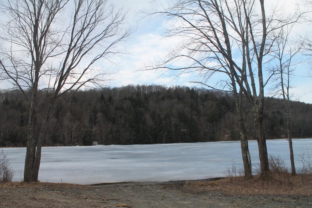 Photo: Down By Long Pond